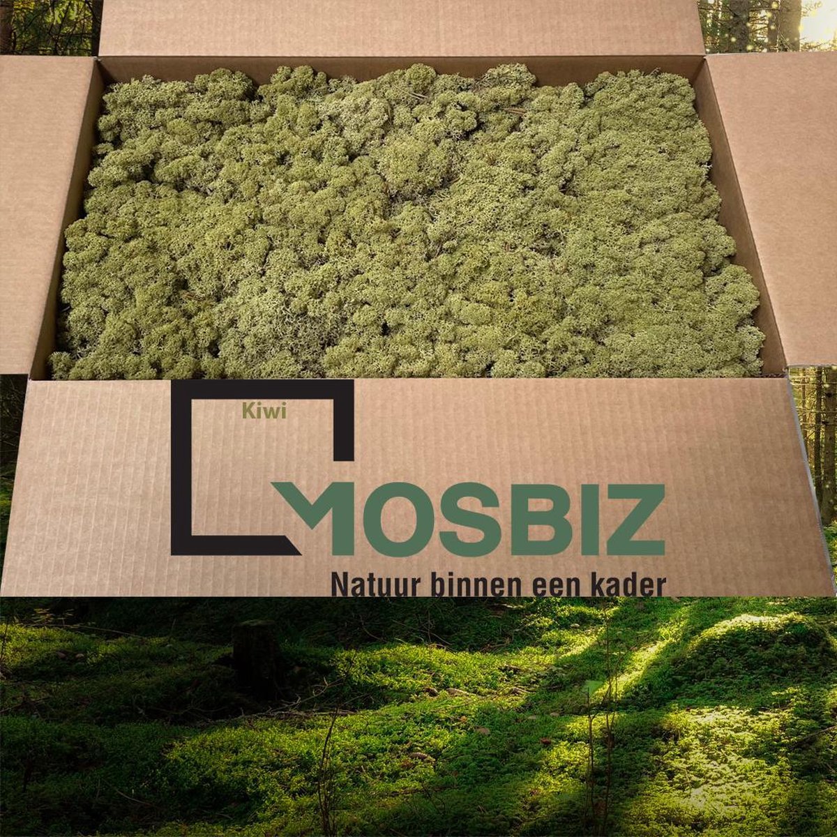 MosBiz Rendiermos Kiwi 2 laags (2