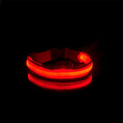 Lichtgevende halsband voor honden - Rode led - 40-48 cm omvang - Veilige halsband met rood led licht - USB oplaadbaar - Incl USB kabel