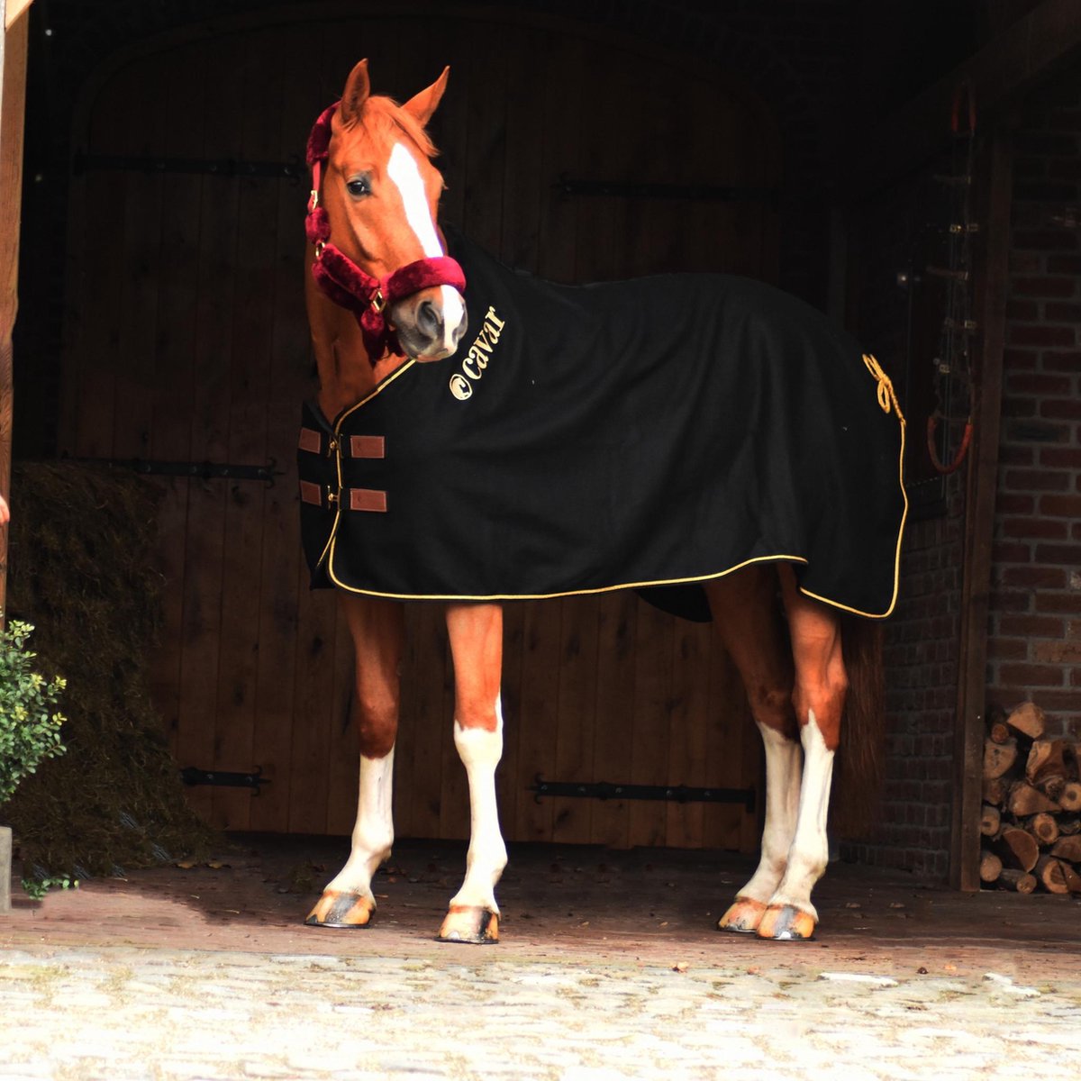Cavar Wollen Deken 700 gram Zwart 195cm