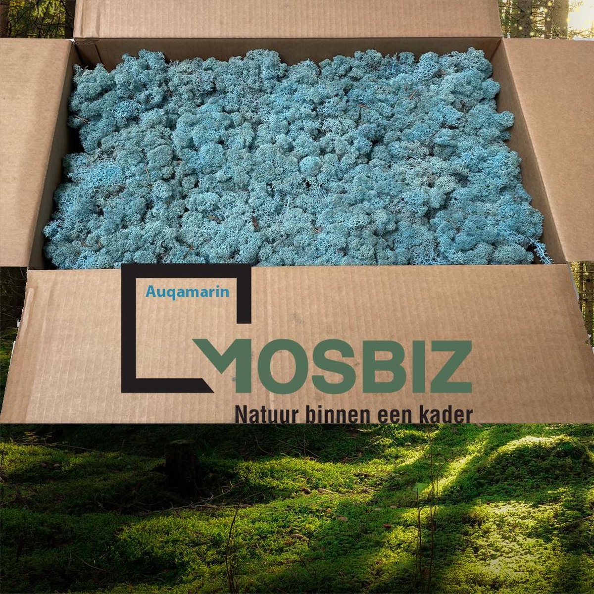 MosBiz Rendiermos Aqua marijn  2 laags (2