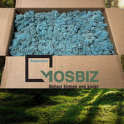 MosBiz Rendiermos Aqua marijn  2 laags (2