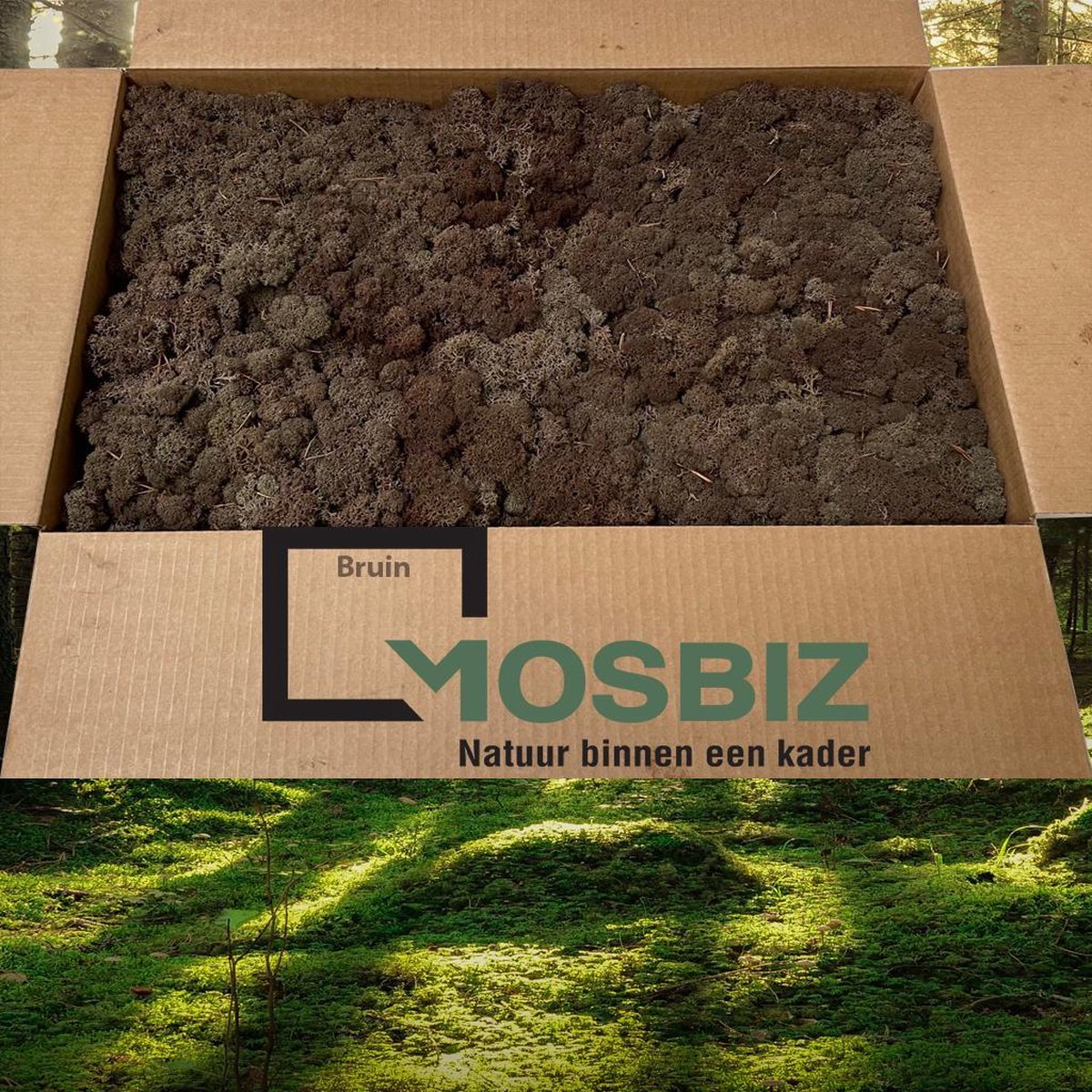 MosBiz Rendiermos Bruin 2 laags (2