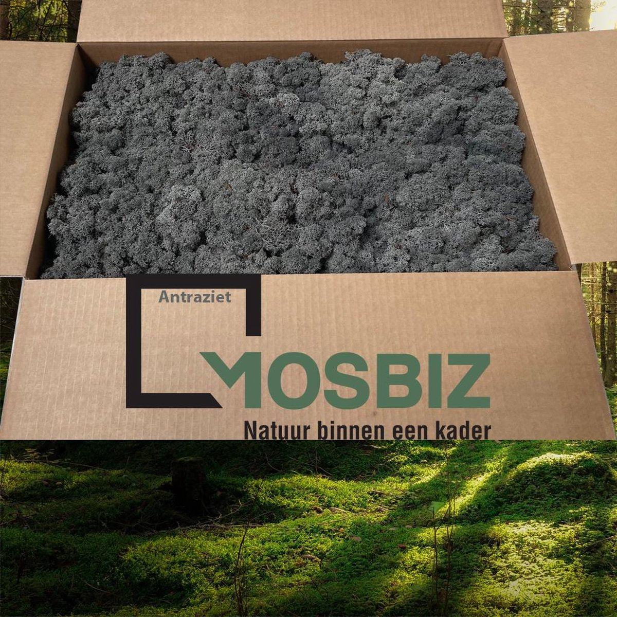 MosBiz Rendiermos Anthraziet 2 laags (2