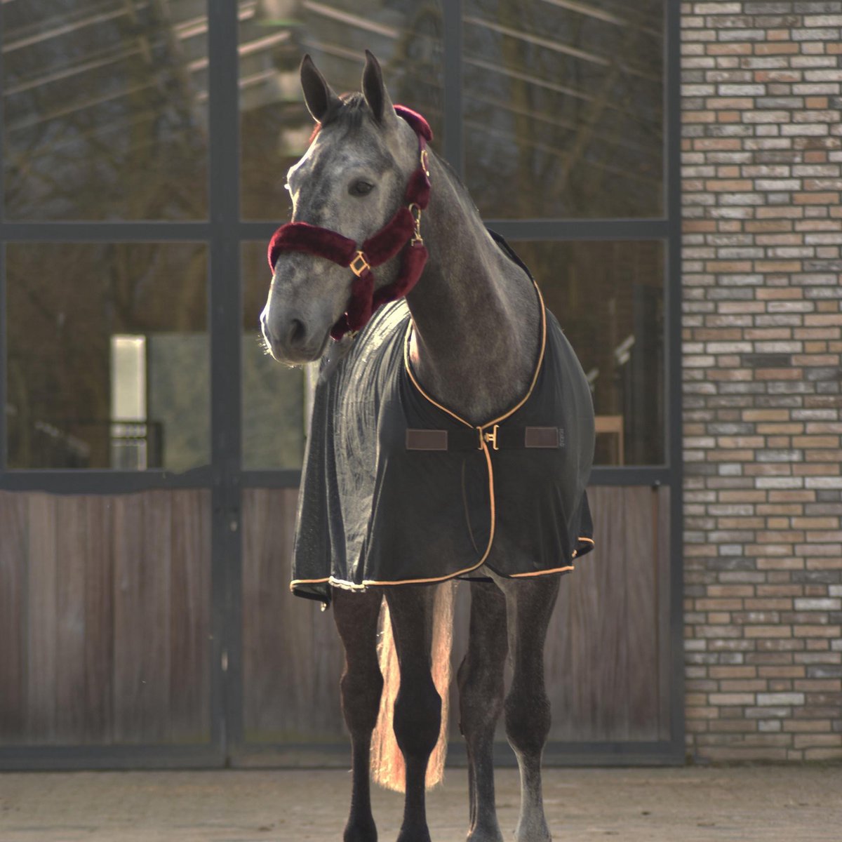 Cavar Vliegendeken Zwart 195cm - mesh - vliegendek - vliegen deken