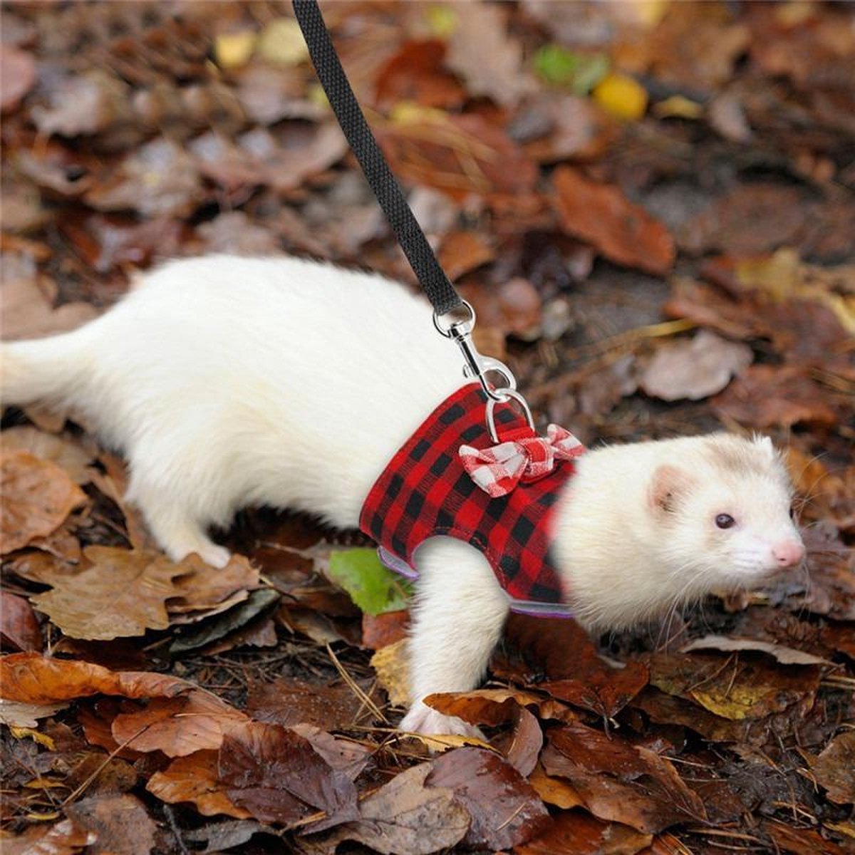 Dierplezier - Wandel tuigje knaagdier - Leiband knaagdier - S - Hamster wandelleiband - Tuigje met klittenband - Tuigje wandelen rat - Harnas voor cavia - Gareel voor fret - Rood gareel met leiband