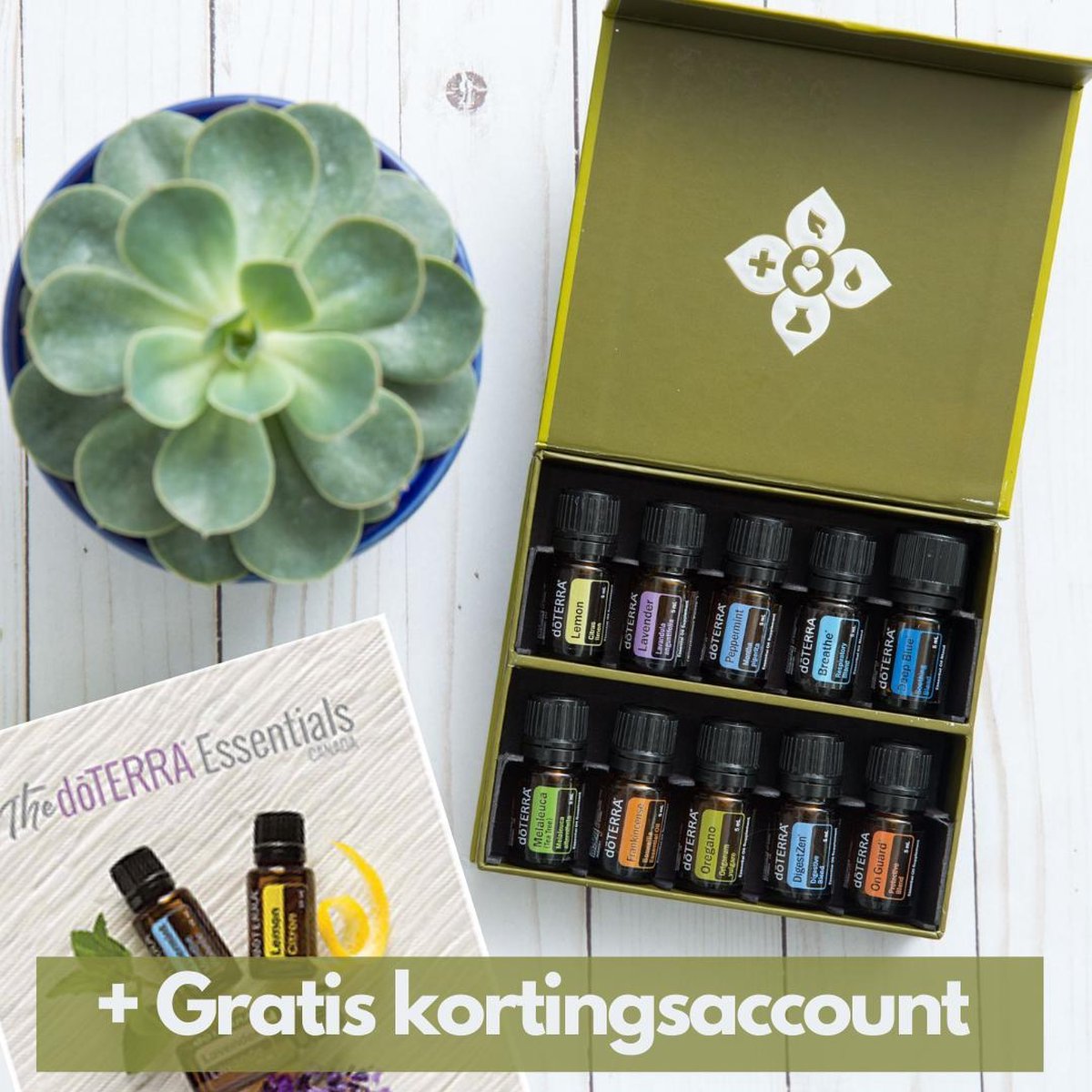 doTERRA Family Essentials Kit | 10x 5ml | Etherische Olie