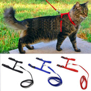 Hiden  Katten Tuigje - Zwart - 115 cm