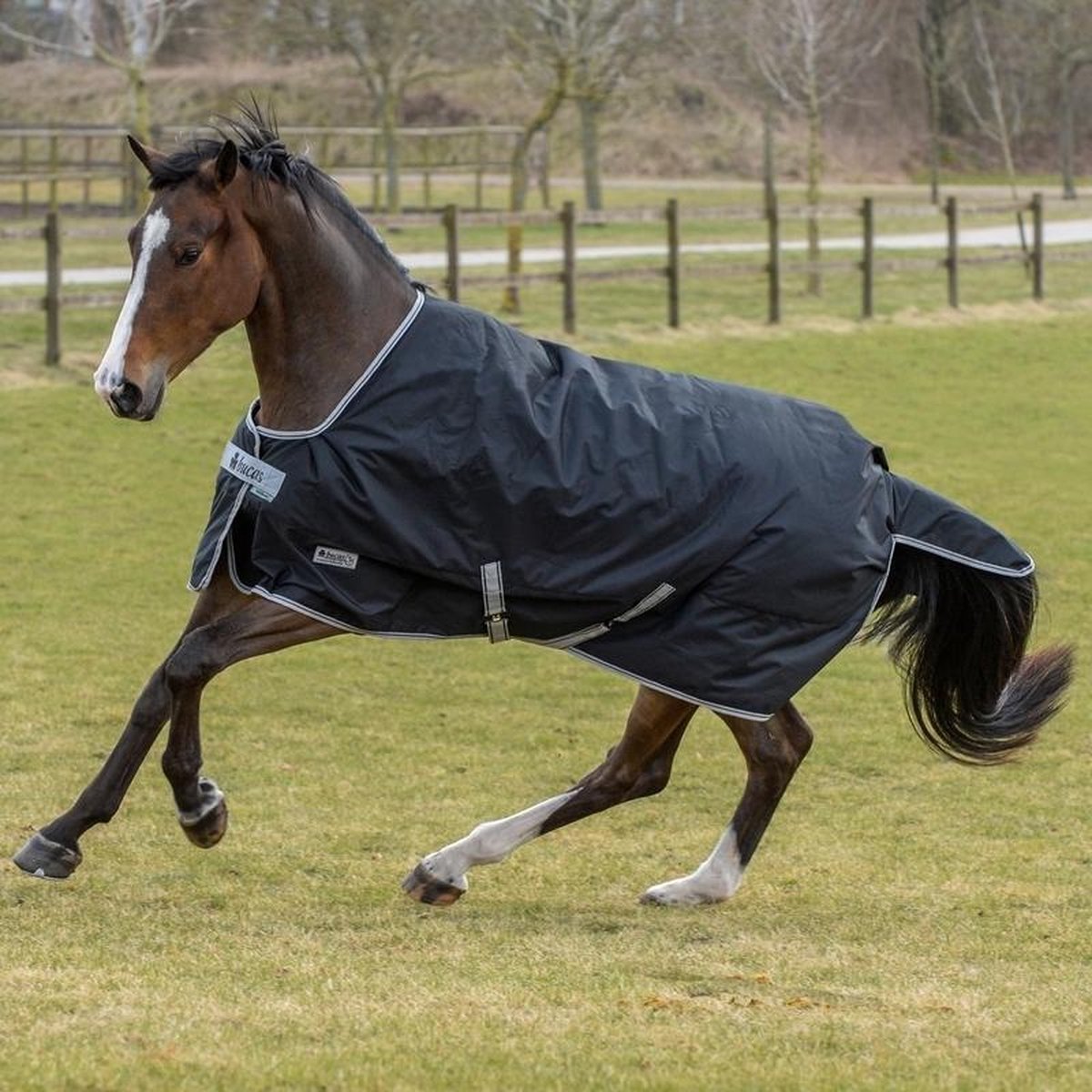 Bucas Anniversary Turnout 150 Stay-Dry 168 Zwart / Zilver