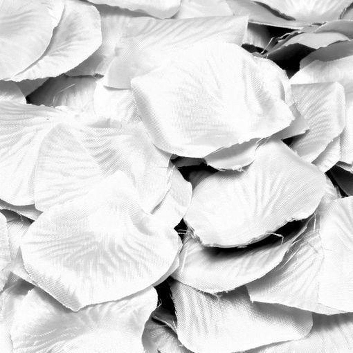 Witte Rozenblaadjes 144 stuks