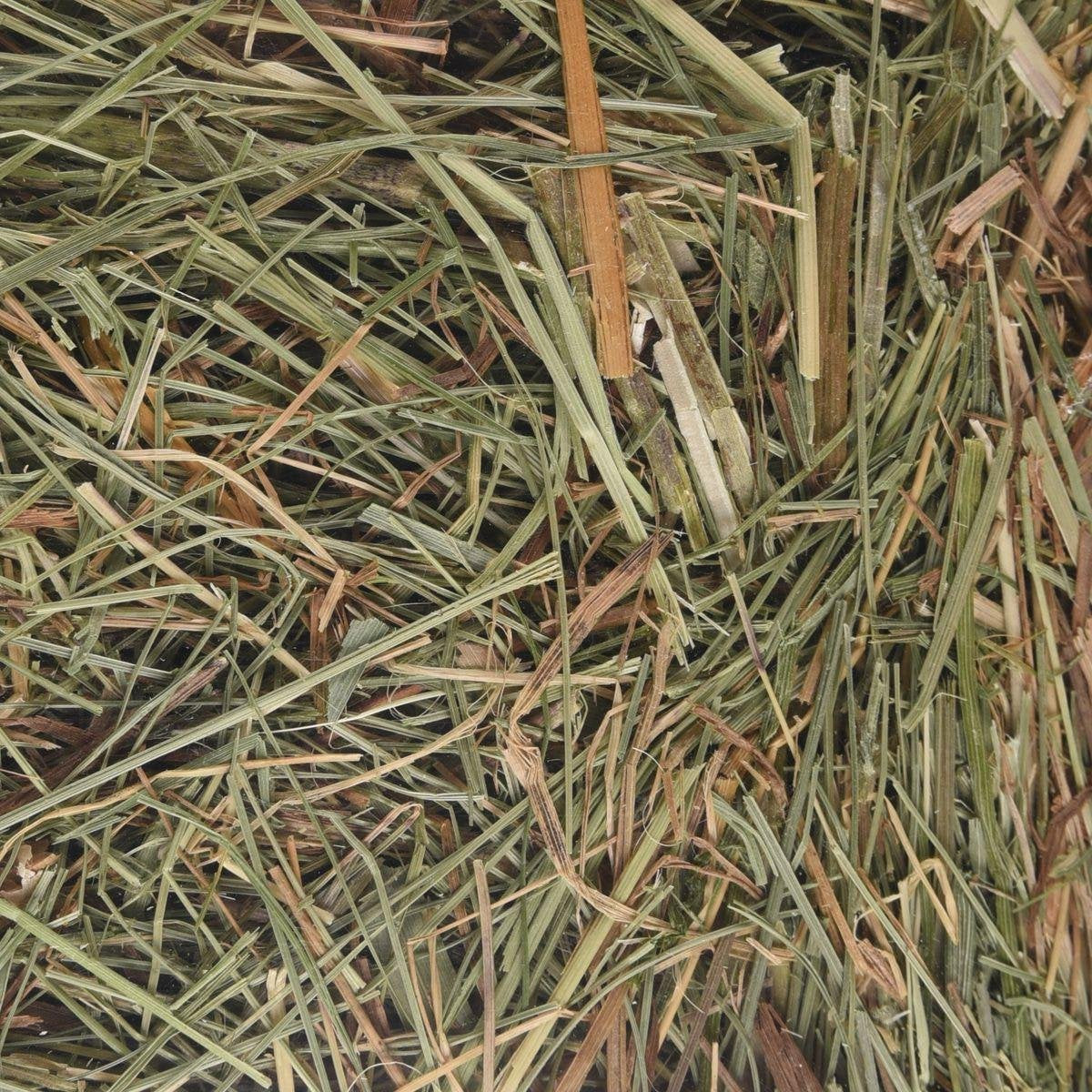 Berghooi met Brandnetel - 500 gr