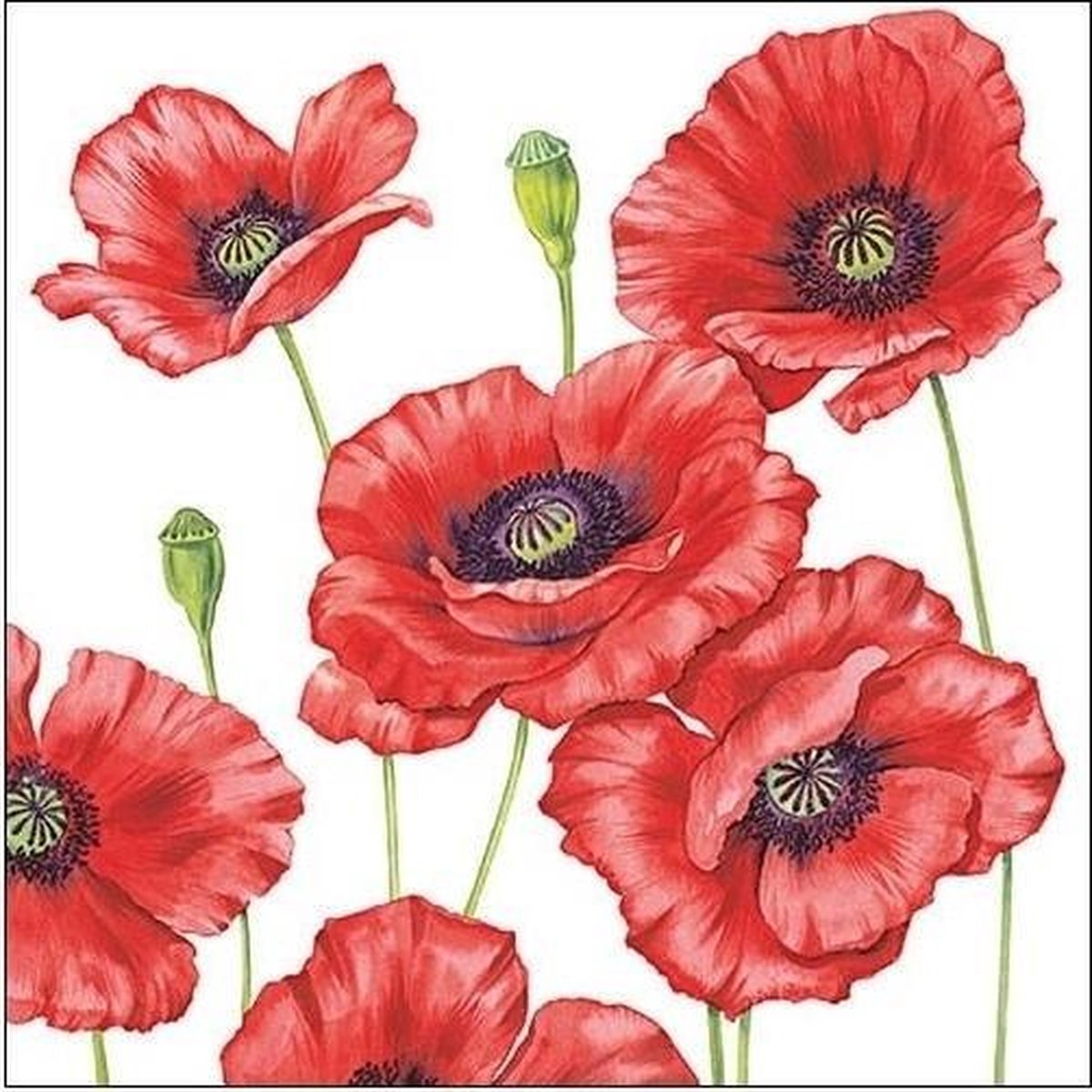 100x Klaprozen/poppy bloemen voorjaar servetten 33 x 33 cm - Papieren wegwerpservetten 3-laags