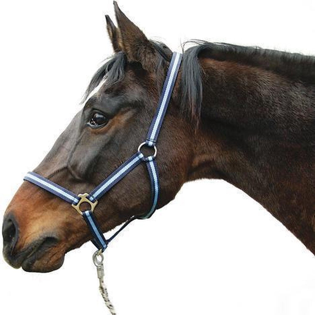 Halster Hippo voor paarden gr. 1 (pony)