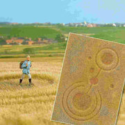 Busch - Kornkreise (Bu1311)