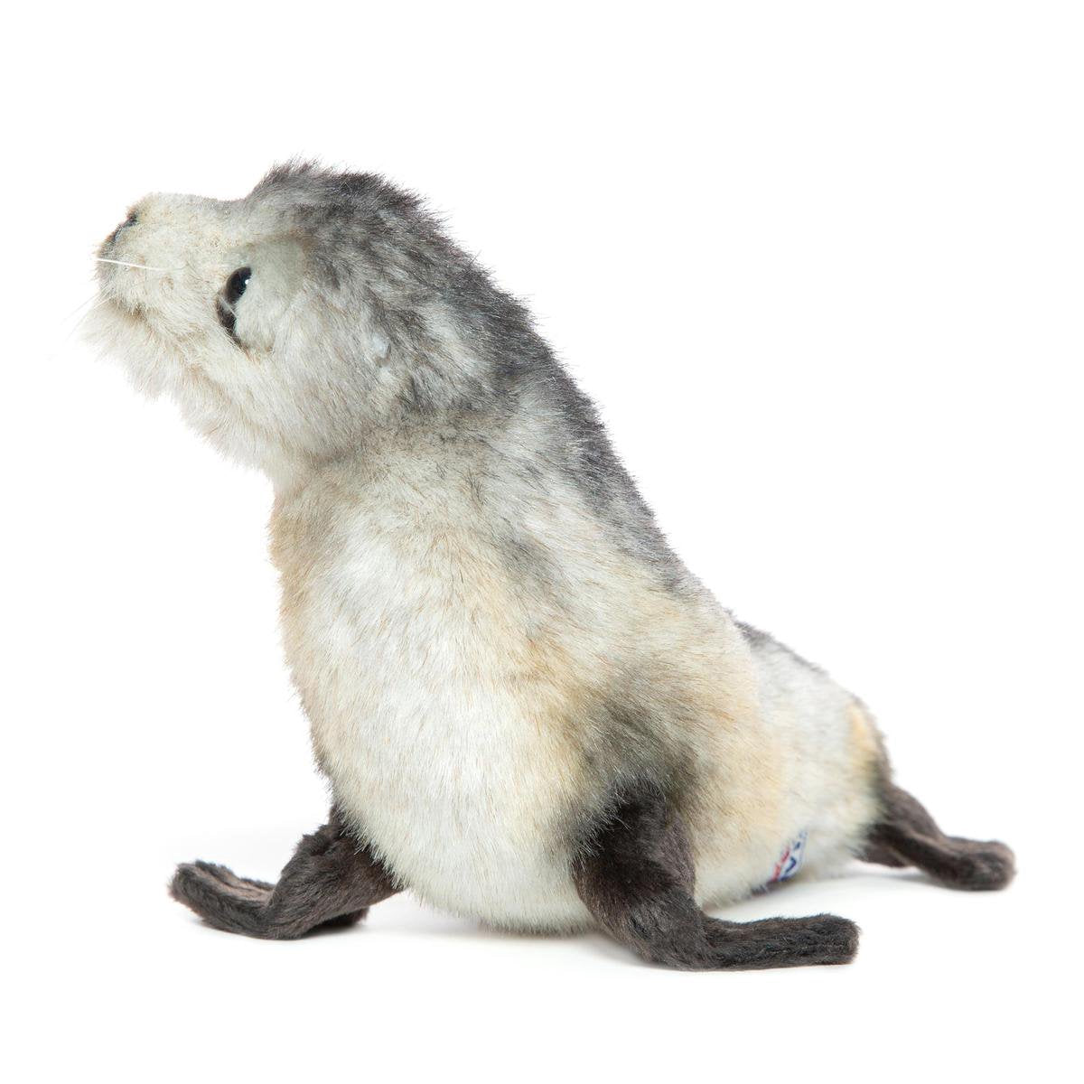Pluche Zeehond