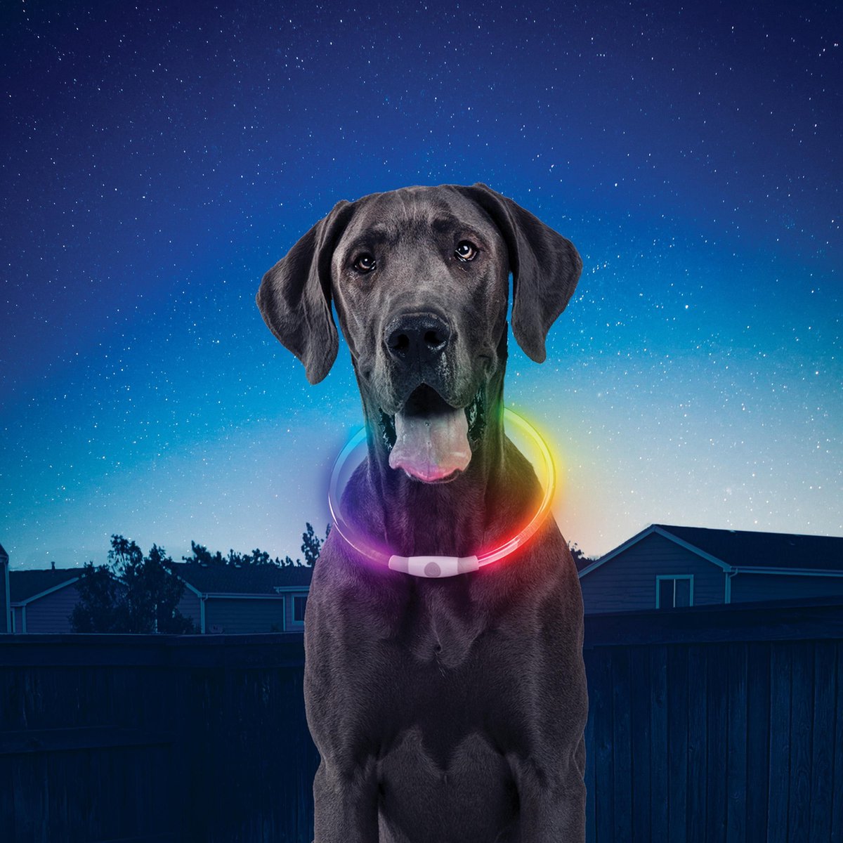 Luxe Lichtgevende Led Honden Halsband Oplaadbaar Night Hawk Multicolor Rood Blauw Groen Licht Hond