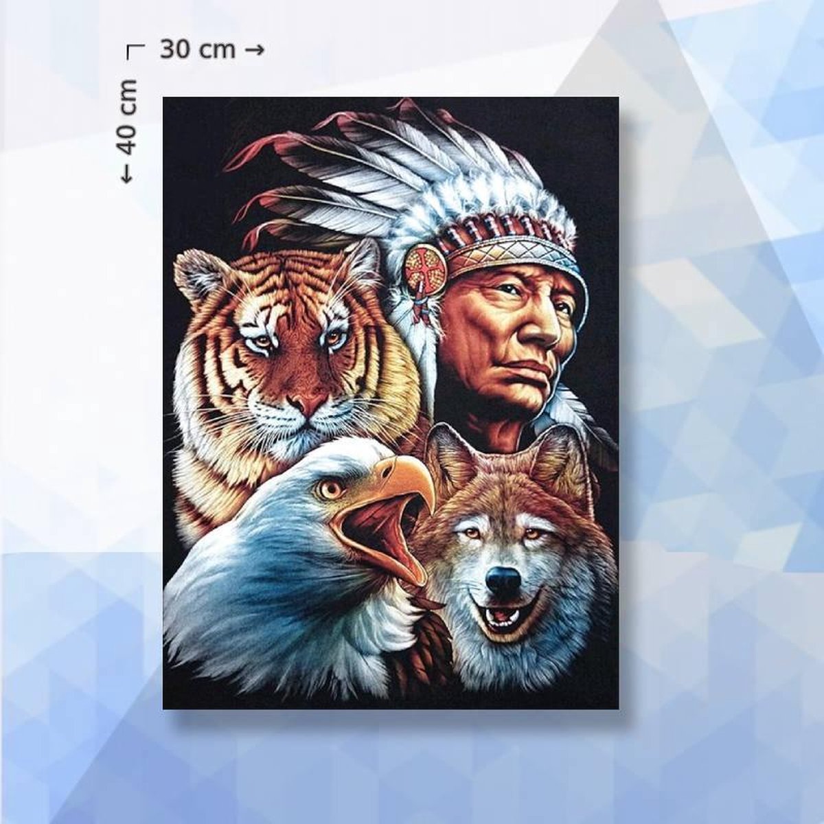 Diamond Painting Pakket Indiaan