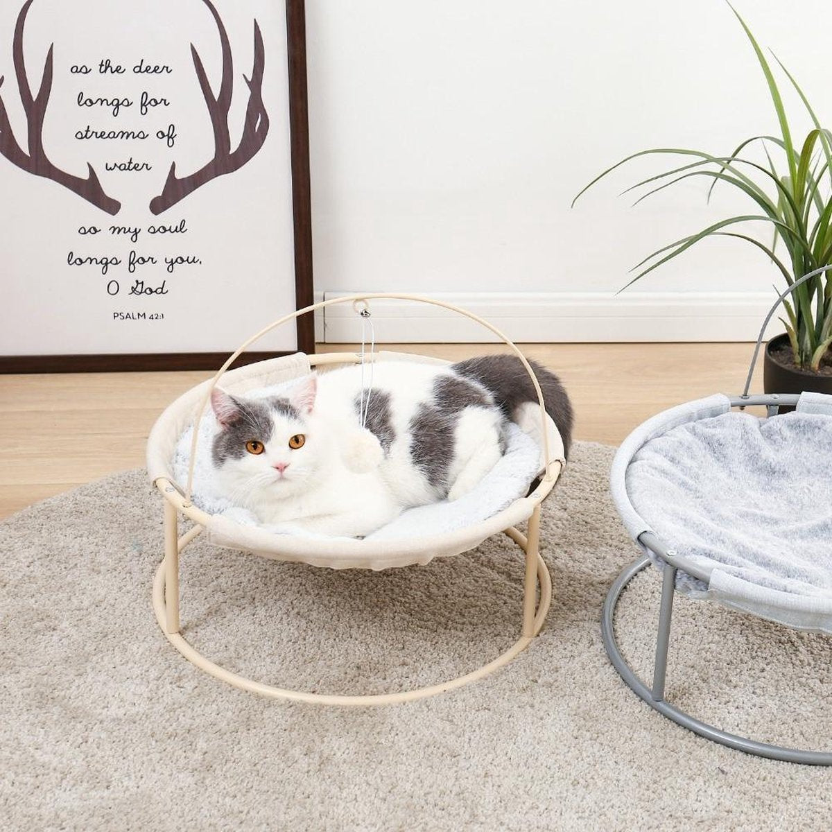 TBG Luxe Huisdier Kat Opknoping Bed Huis Ronde Zachte Kat Hangmat Gezellige Schommelstoel Afneembare Huisdier Bed Wieg Huis voor Katten Hond Nest MatAWW1082BG