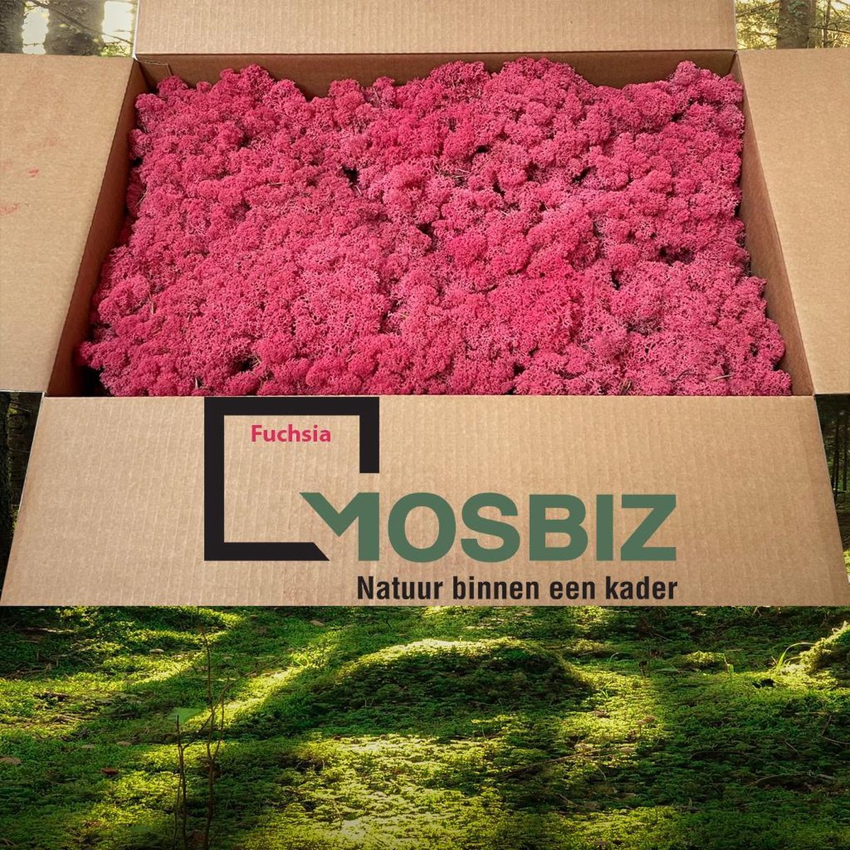 MosBiz Rendiermos Fuchsia 2 laags (2