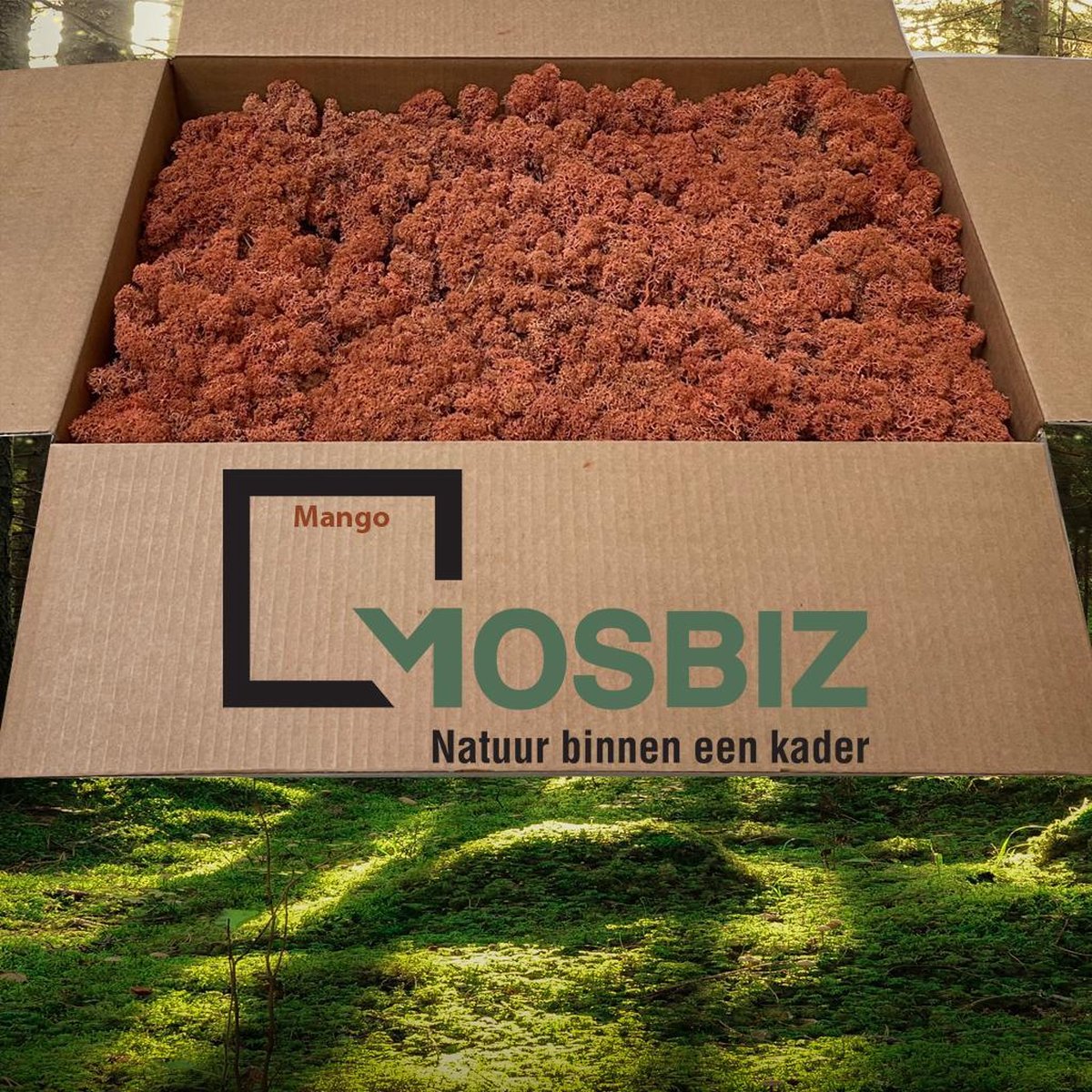 MosBiz Rendiermos Mango 2 laags (2