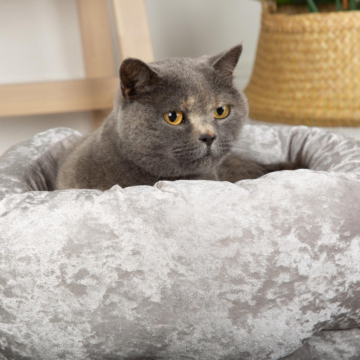 Stijlvolle  katten- en hondenmand van fluweel - Scruffs Velvet - Zilver
