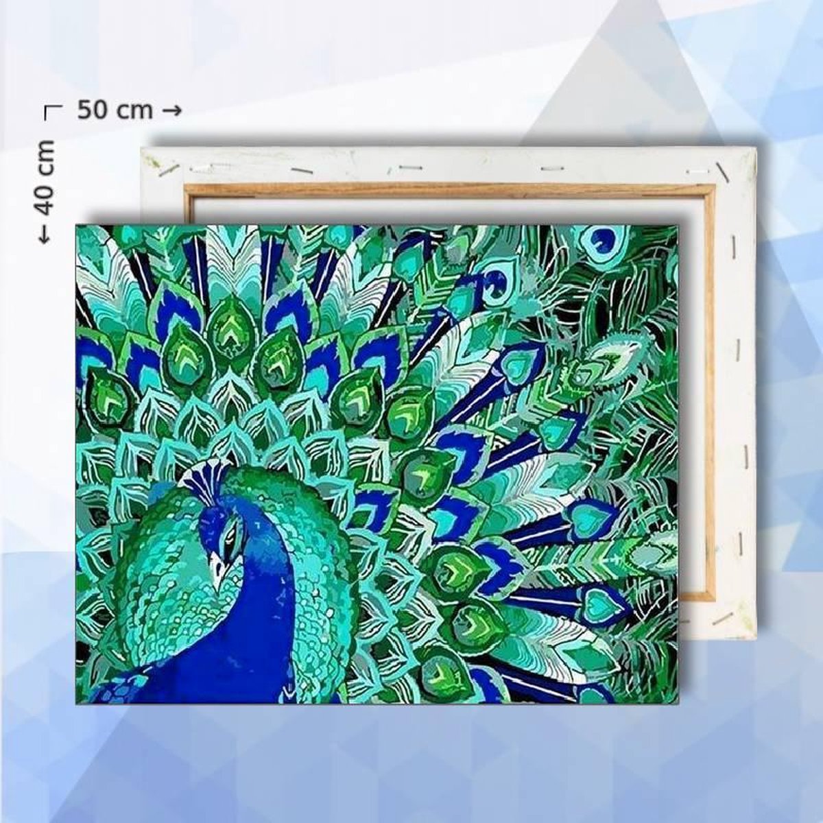 Schilderen Op Nummer pakket Pauw met staart - 40 x 50 cm - met frame