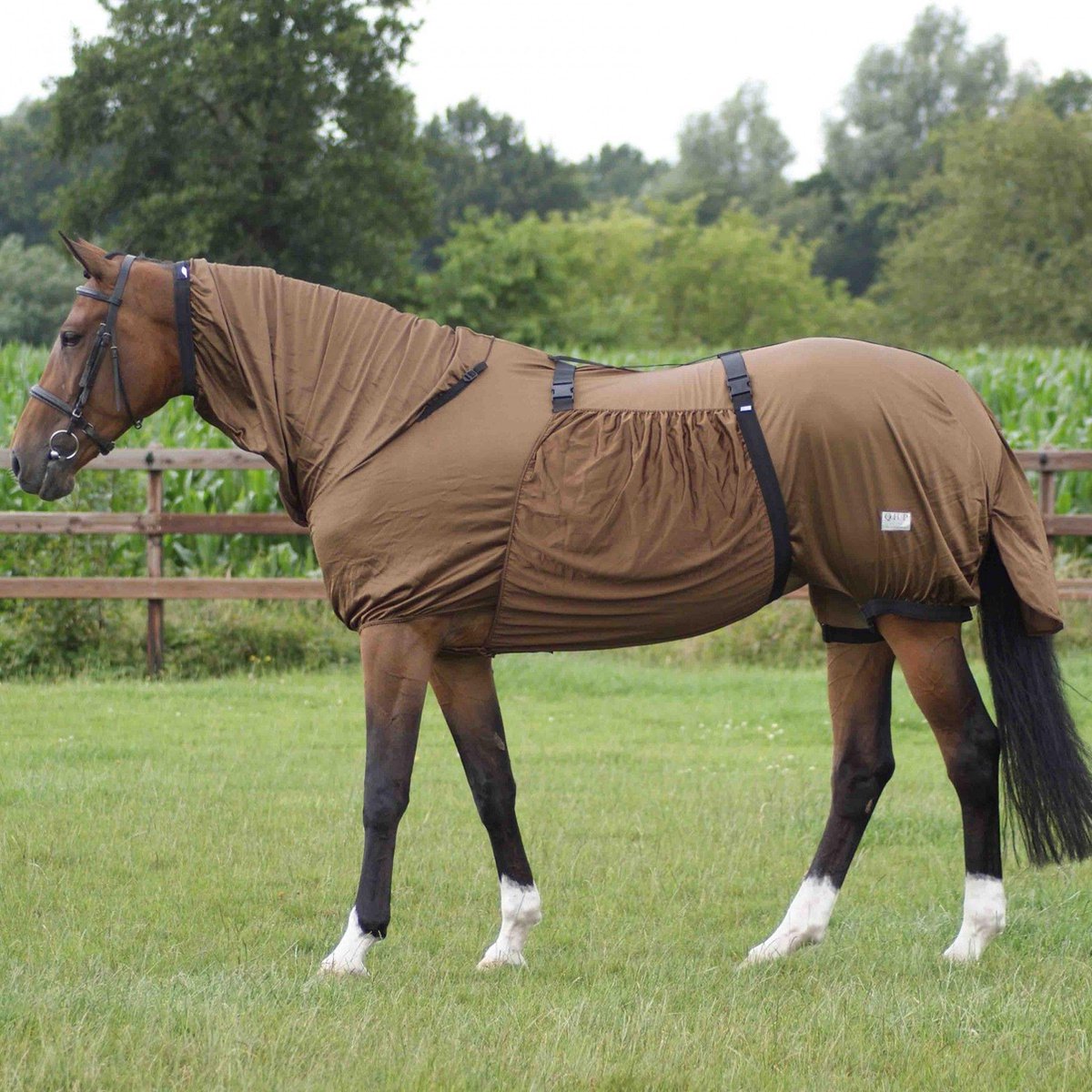 QHP Eczeemdeken  205 Bruin