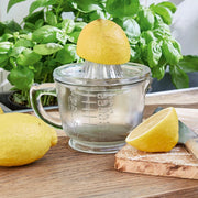 LOBERON Citruspers Cindy helder