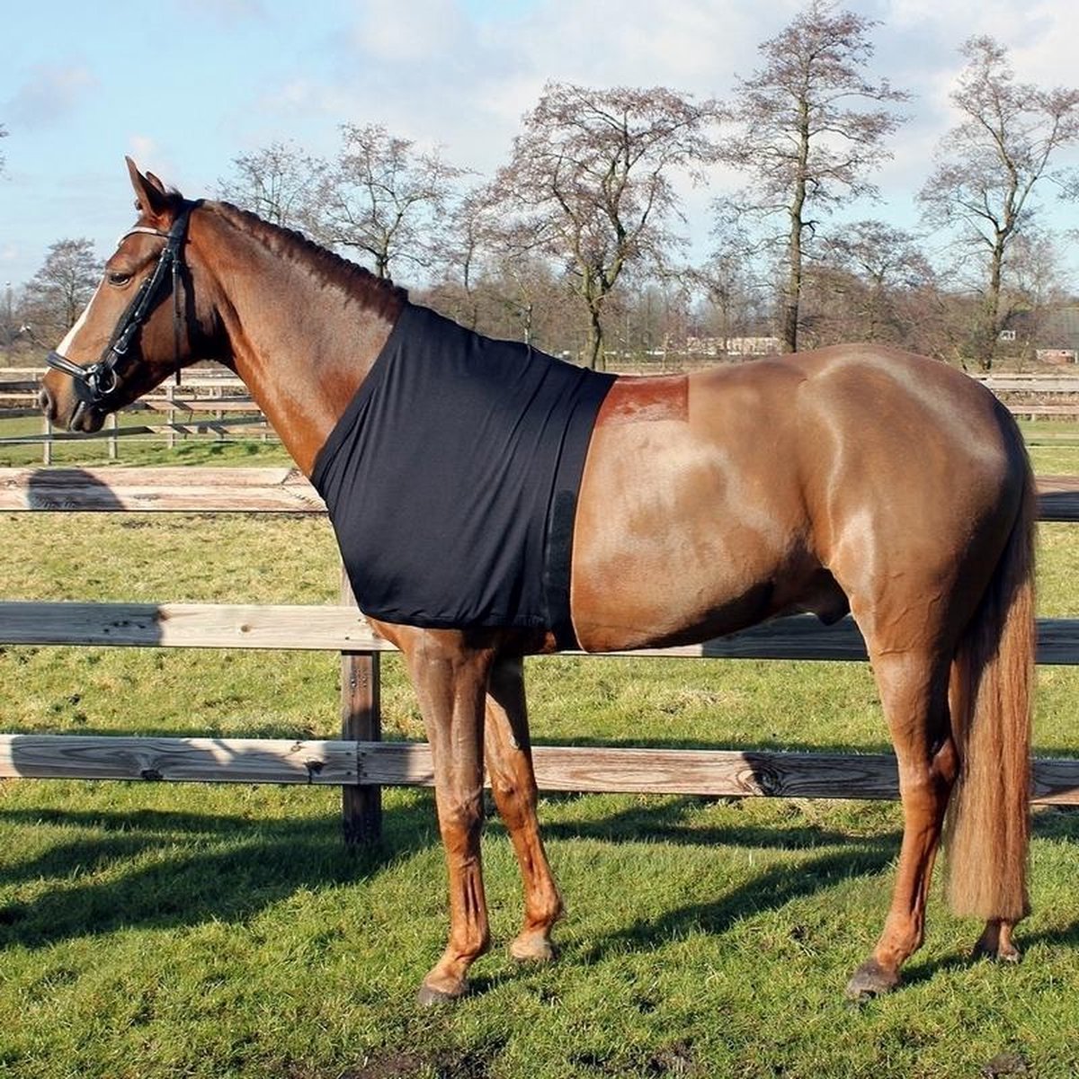 QHP Borstbeschermer Lycra