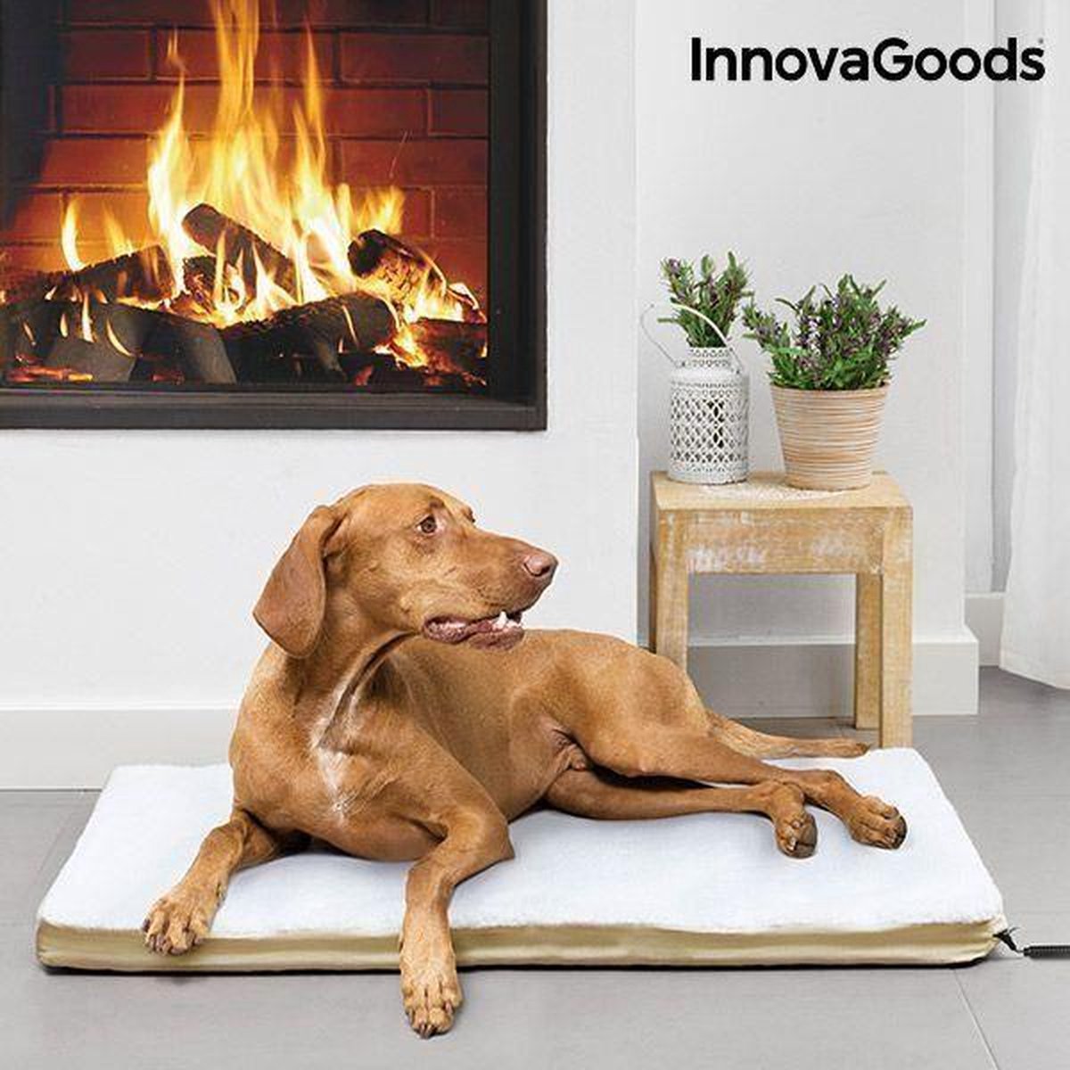 INNOVAGOODS GROTE VERWARMDE HUISDIERENKUSSEN 18W