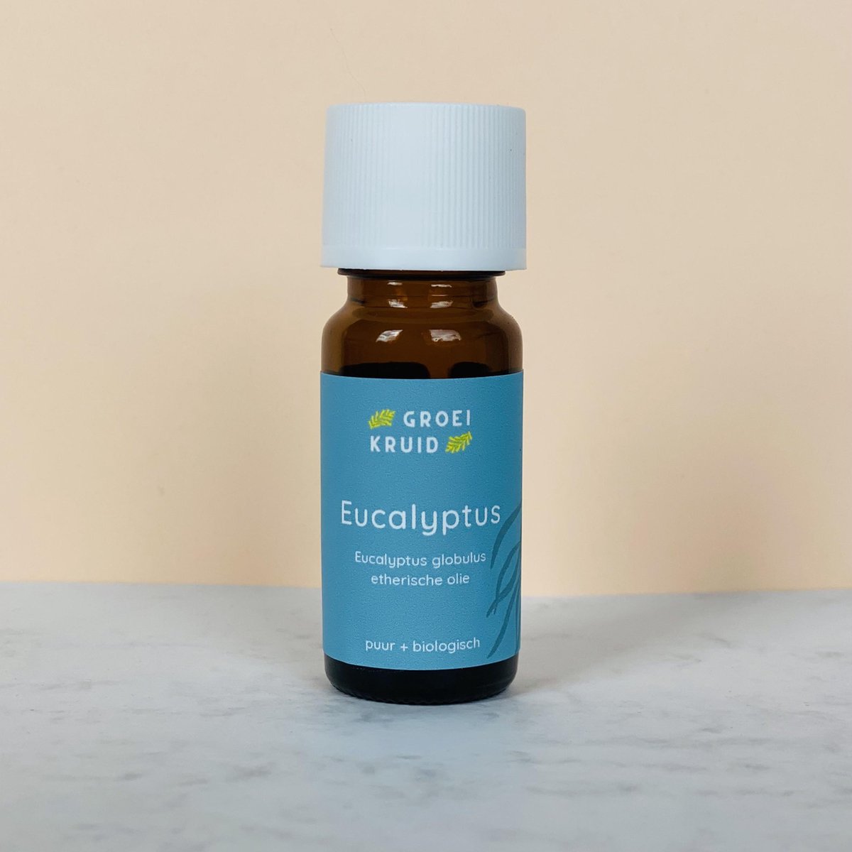 Biologische eucalyptus etherische olie | Eucalyptus globulus | 100% natuurlijk en puur | 10 ml eucalyptus olie