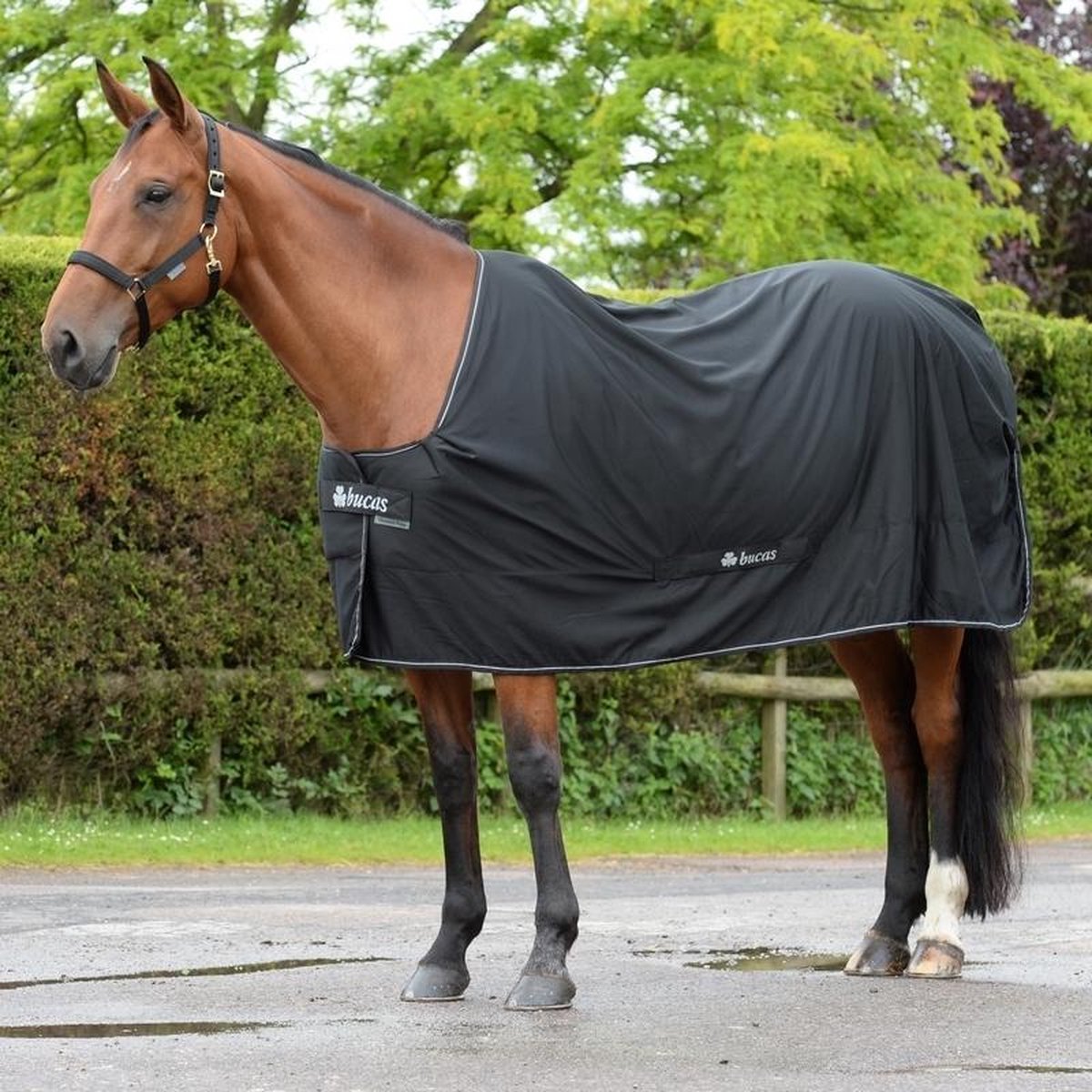 Bucas Zweetdeken Power Cooler - Black/Silver - 165/215