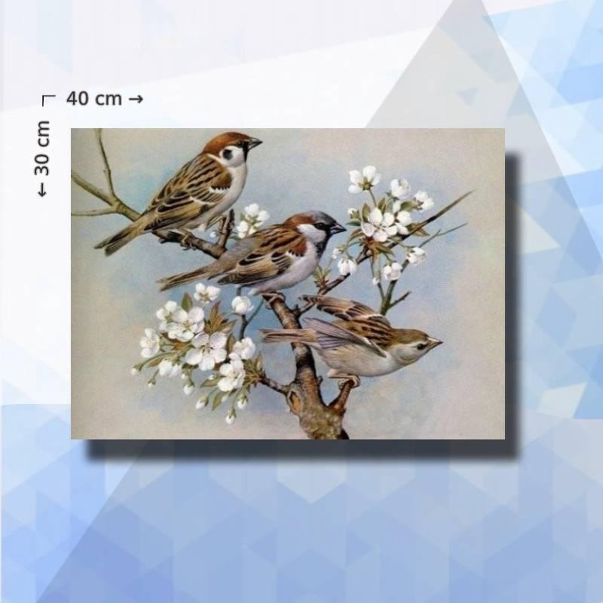 Diamond Painting Pakket Musjes - ronde steentjes - 40 x 30 cm