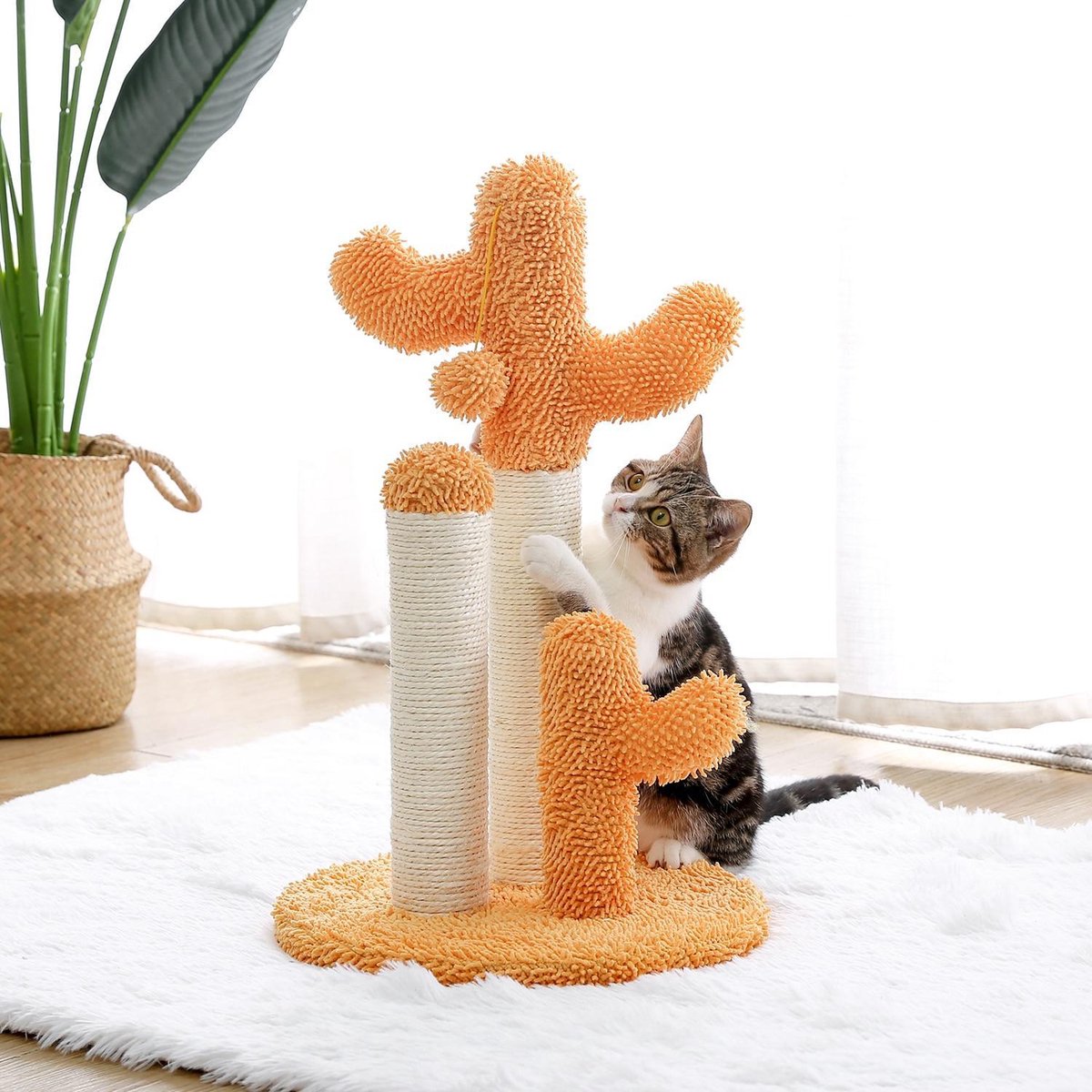 Baymate Leuke Cactus Huisdier Krabpaal Speelgoed met Bal Krabpalen voor Katten Kitten Klimmen Boom Kat Speelgoed Beschermen Meubels AMT0066OG M