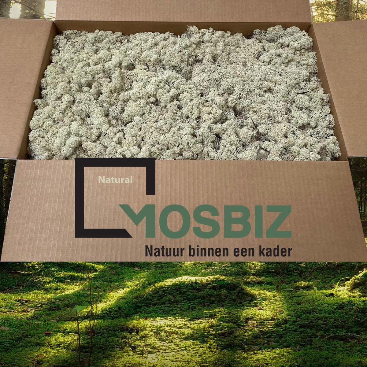 MosBiz Rendiermos Naturel 2 laags (2
