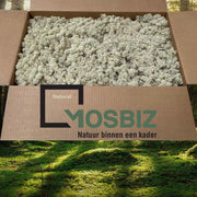 MosBiz Rendiermos Naturel 2 laags (2