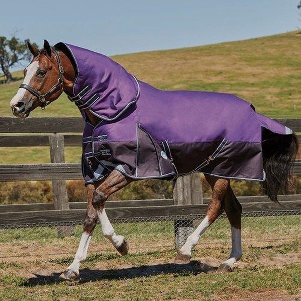RelaxPets - Weatherbeeta - ComFiTec Plus Dynamic - Medium - Afneembare Hals - 220 gram - 145 cm