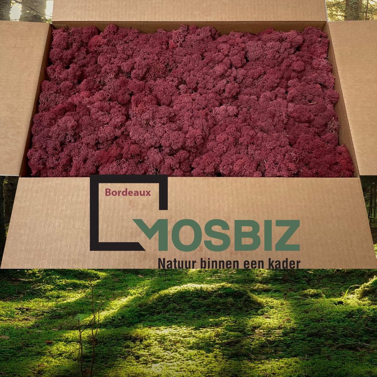 MosBiz Rendiermos Bordeaux 2 laags (2