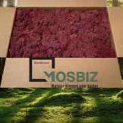 MosBiz Rendiermos Bordeaux 2 laags (2