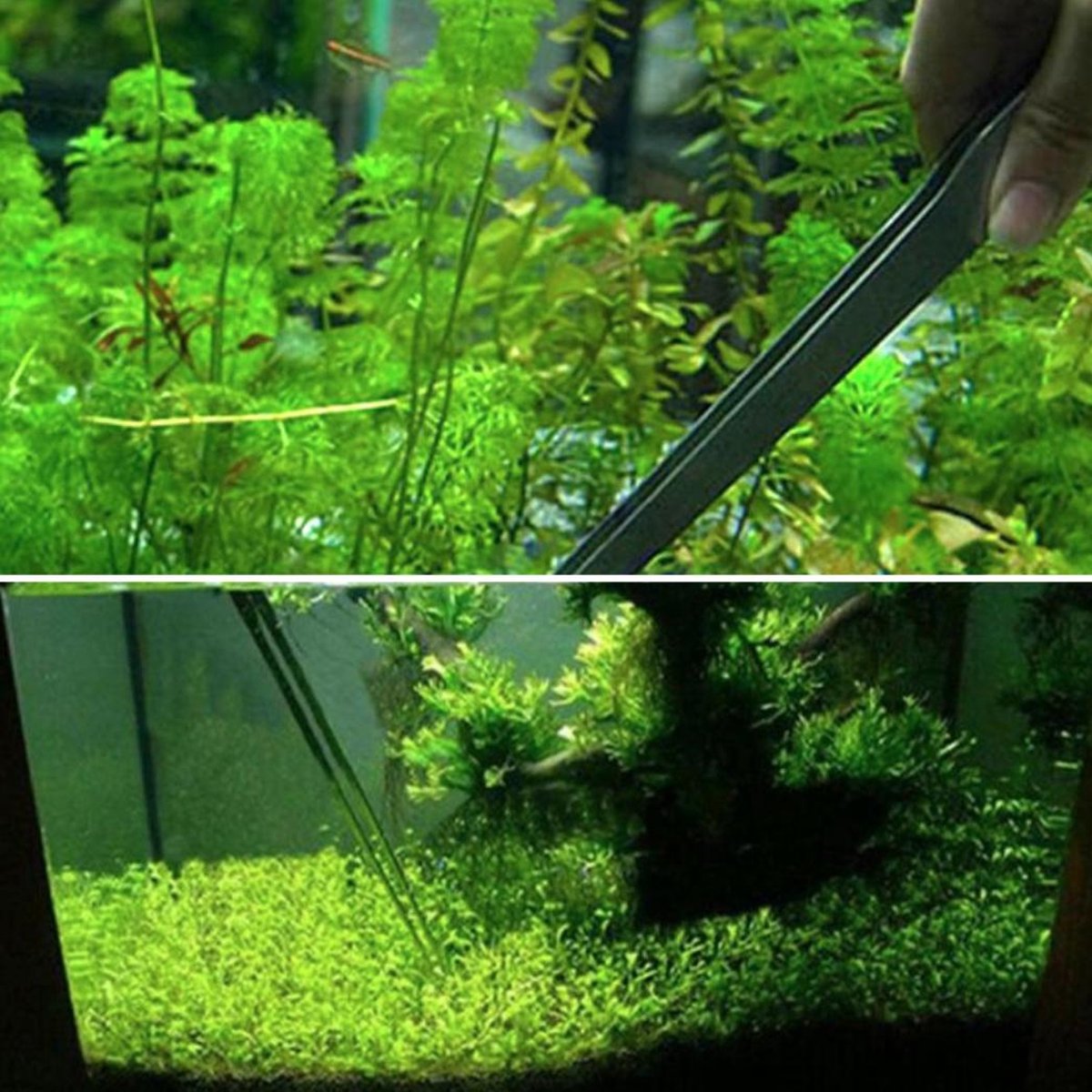 Hiden | Aquarium plantentang - RVS - Aquarium decoratie - Aquarium accessoires - Aquarium planten kunststof - Aquascaping - Vissen - Planten decoratie - Aquascape - Pincet - 27 cm