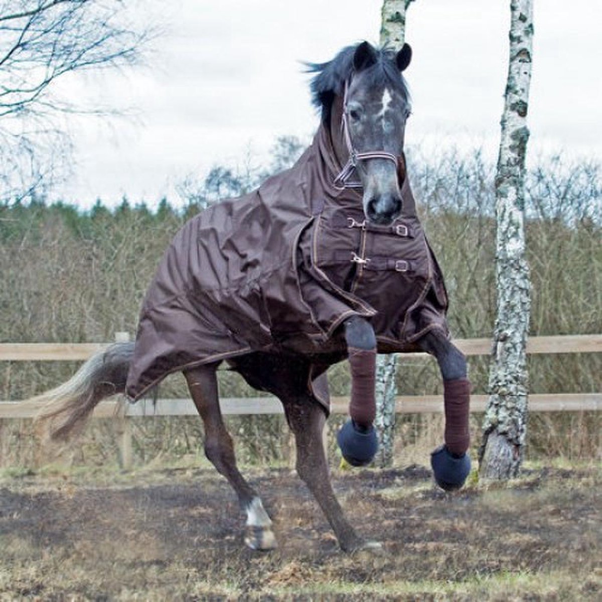 Spirit Mistral Winterdeken Donkerbruin 190 Horze