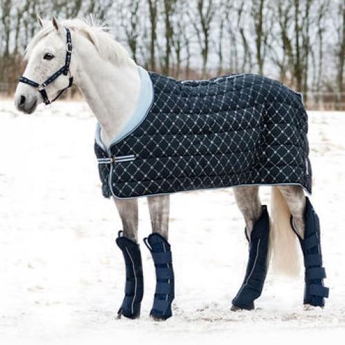 Royal Equus Down & under Horze-215