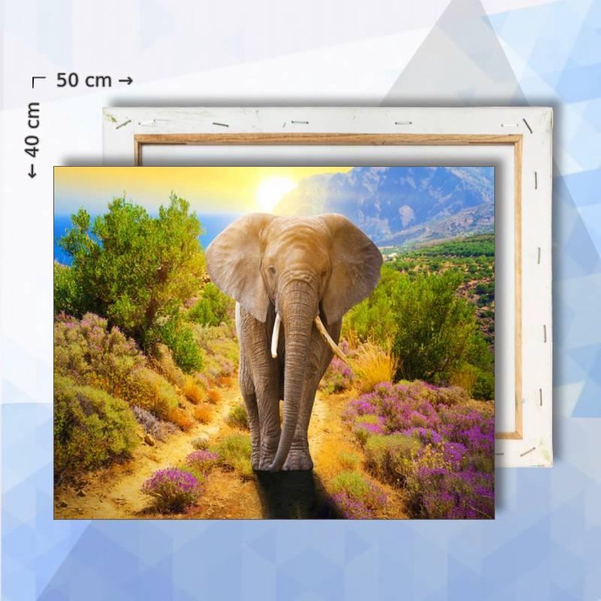 Schilderen op nummer pakket Olifant in het Zonnetje - 40 x 50 cm - met frame