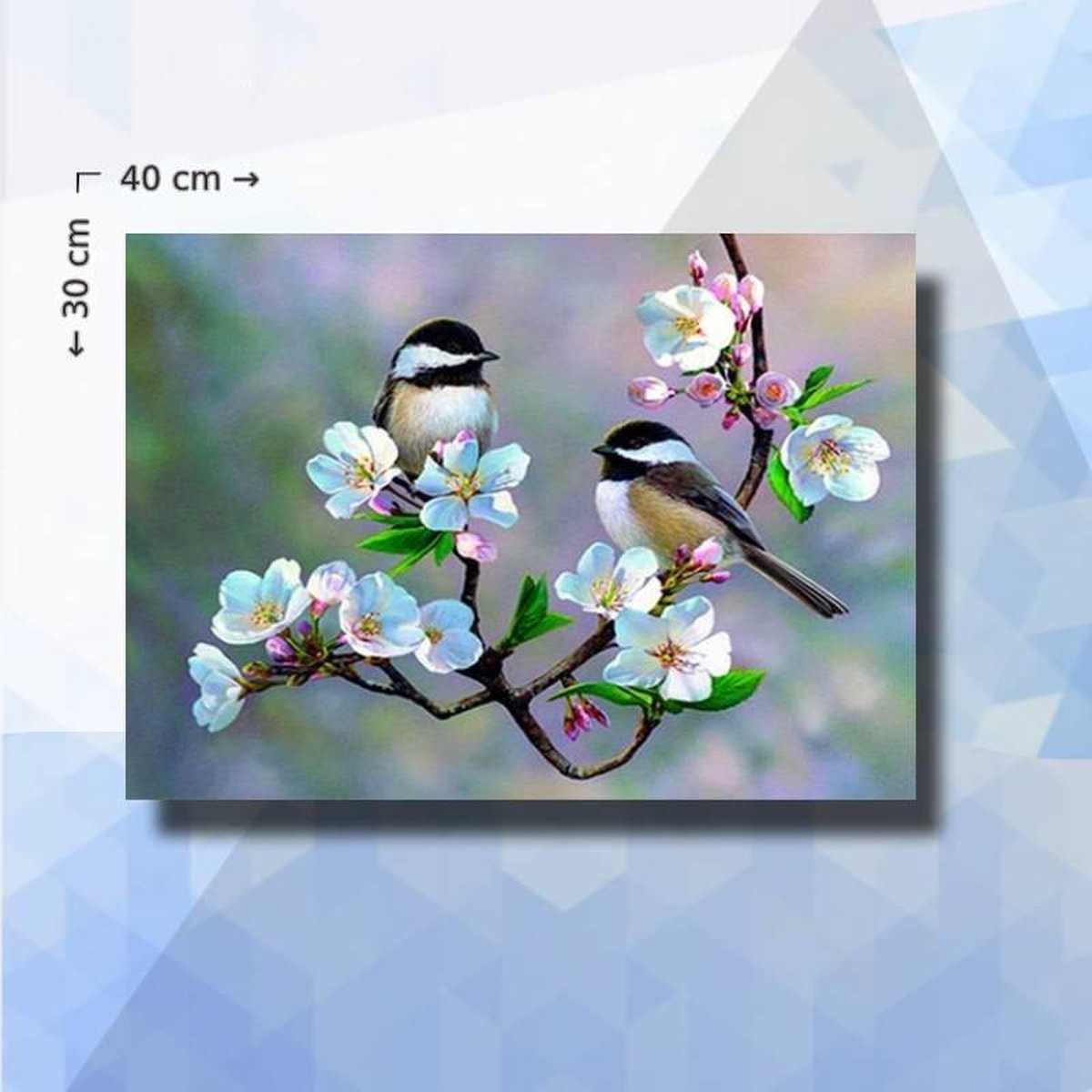 Diamond Painting Pakket Koolmeesjes Op Bloesem - ronde steentjes - 40 x 30 cm