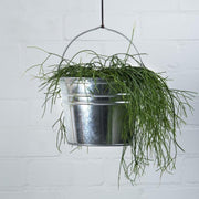 6x Zinken emmers/bloempotten/plantenpotten 6 liter - Tuindecoratie - Bloememmer/bloembak/plantenbak - Decoratie emmer