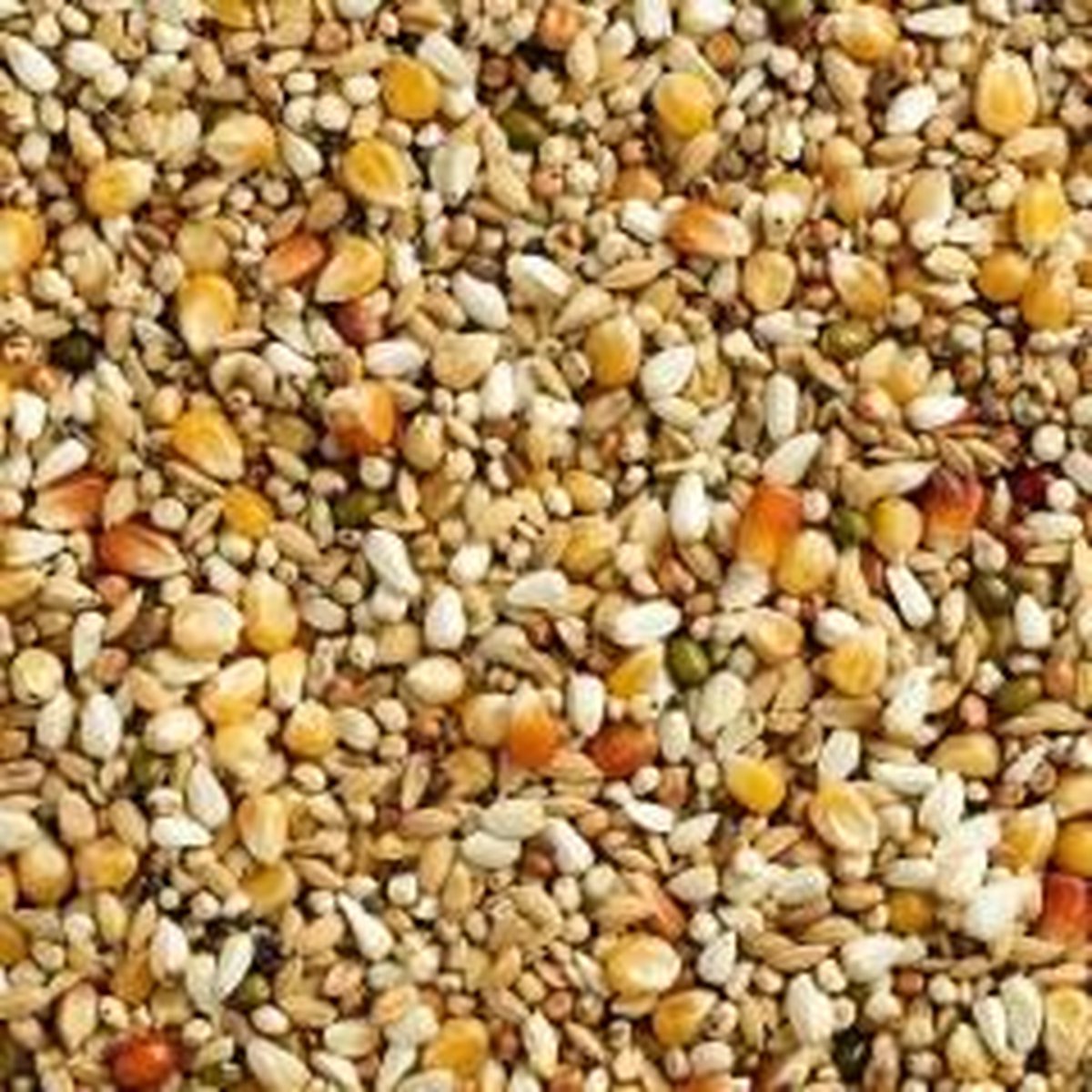 Natural kweek maxi 2m popcorn 25KG