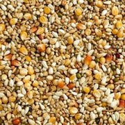Natural kweek maxi 2m popcorn 25KG
