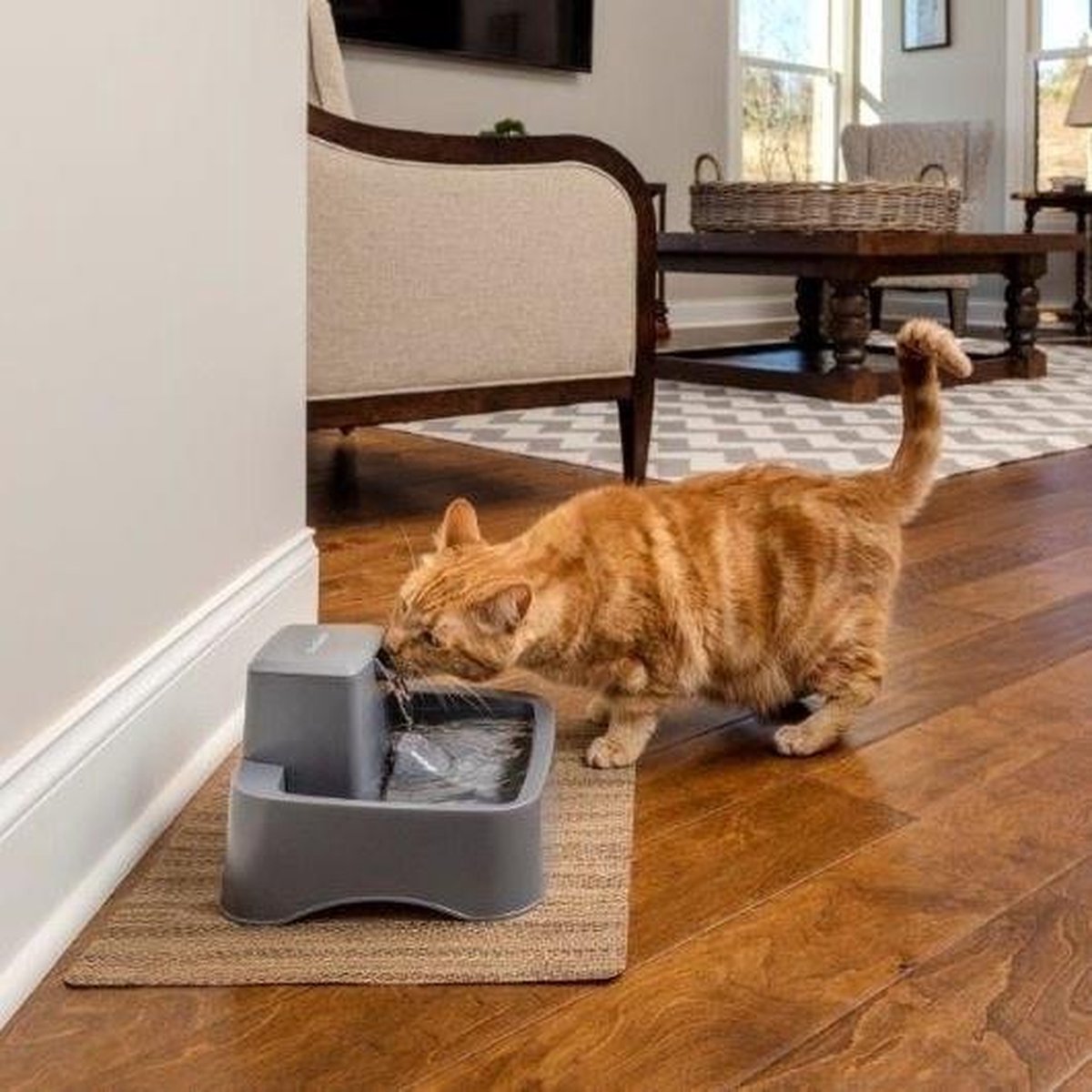PetSafe Drinkwell® 1.8 litre Pet Fountain - Drinkfontein voor kleine honden en katten - Met vrijvallende waterstroom en verstelbare stroomsnelheid - 1