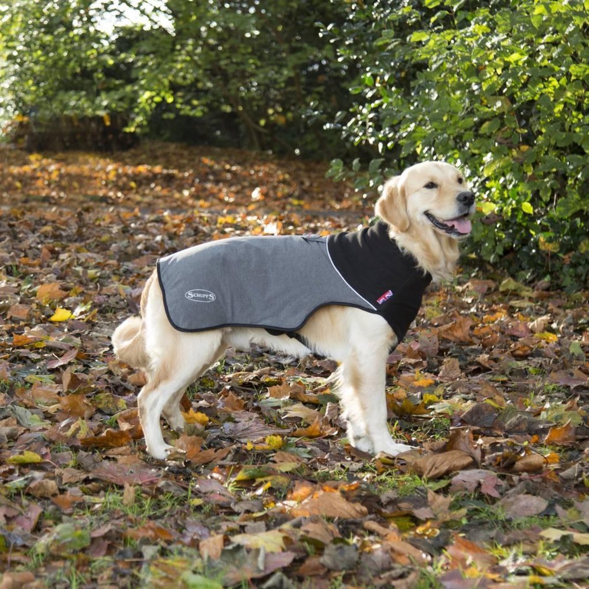 Scruffs Thermal Warme Hondenjas - Grijs - XXL 65 cm