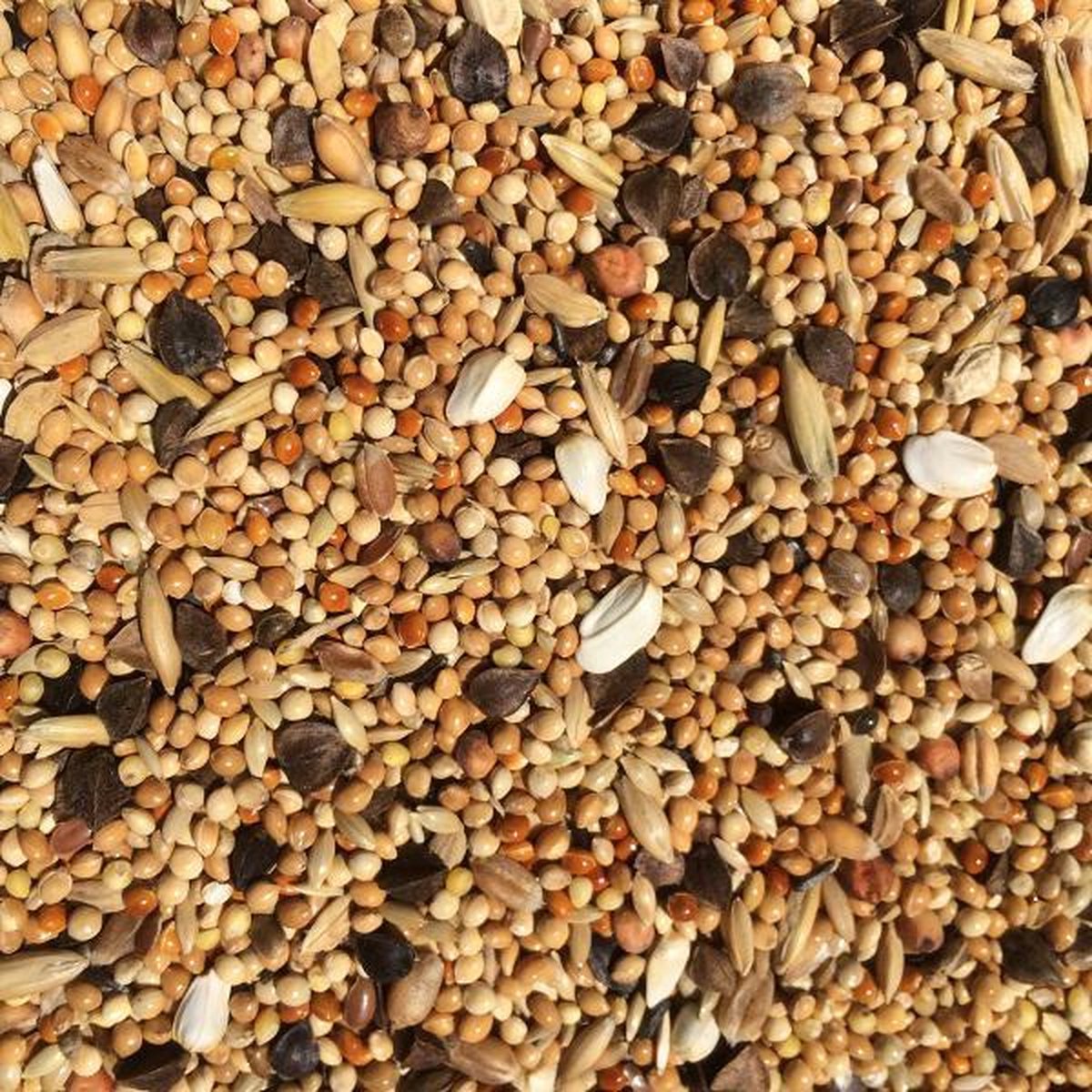 Payaro parkietenzaad grof speciaal 4kg