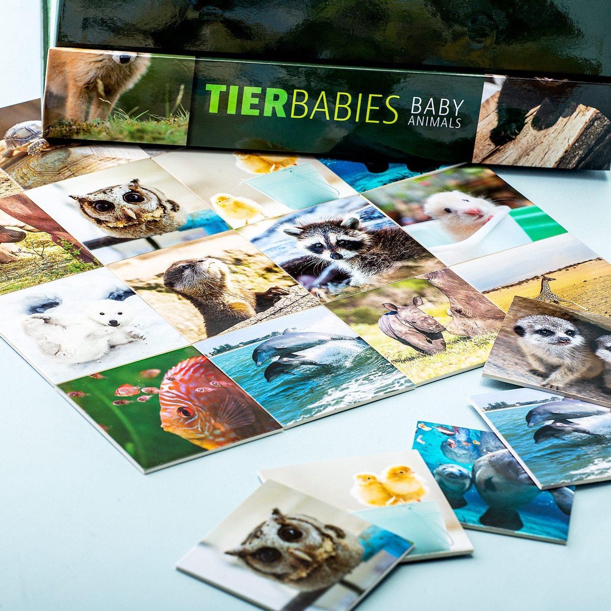 Remember Memory - Baby Dieren